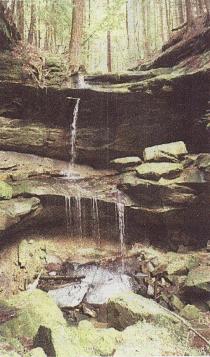 Canter's Cave falls