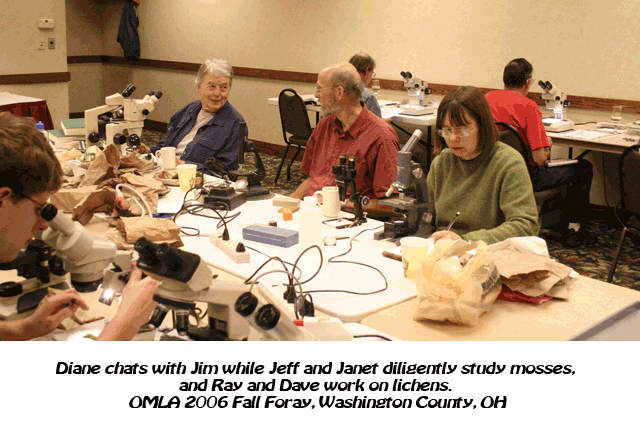 OMLA Fall Foray Lab 2006