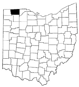 Fulton County map