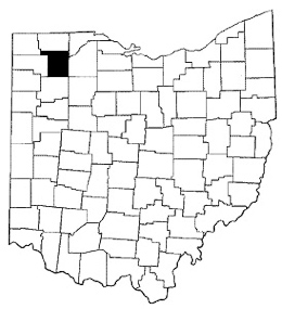 Henry County map