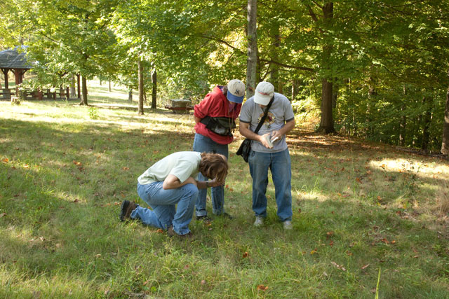 OMLA members look at orchid