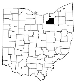 Medina County map