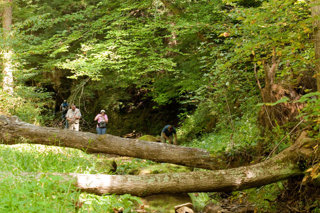 OMLA foray at Rice Run, Meigs County OH