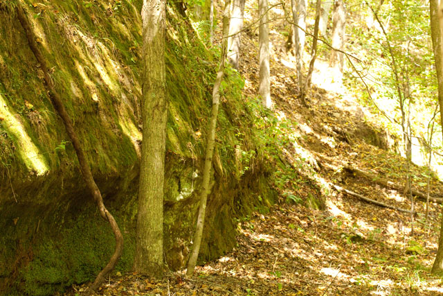 sandstone cliff at Shade River State Forest