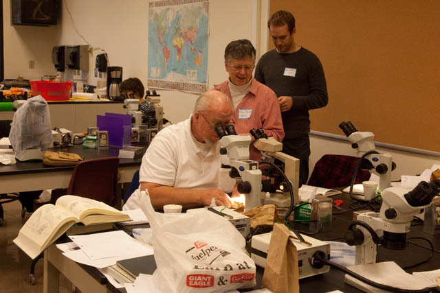 lichen identifiers at the workshop