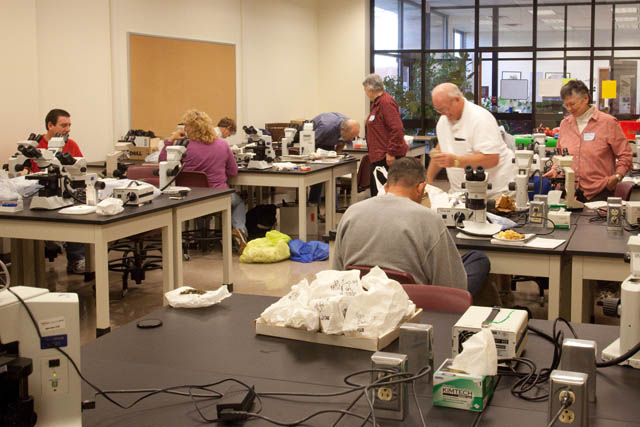 lab fday at the museum
