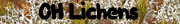 Ohio Lichens