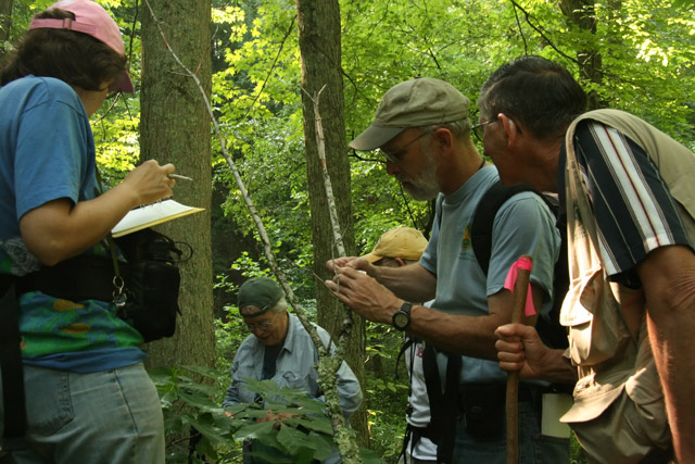OMLA members on spring foray
